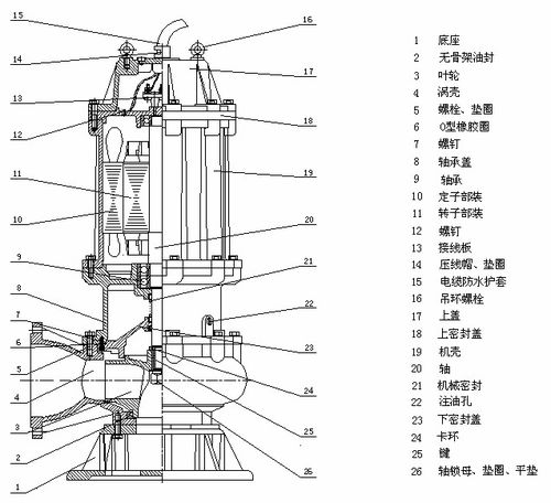 qw潜水排污泵 无堵塞潜水污水泵